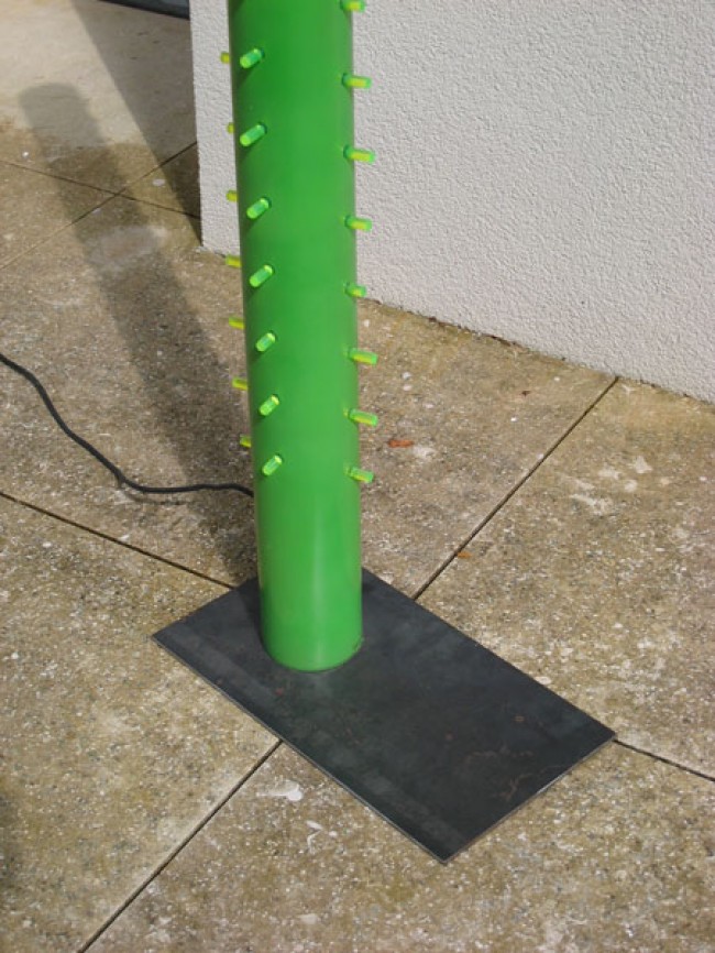 Kakteenfuß